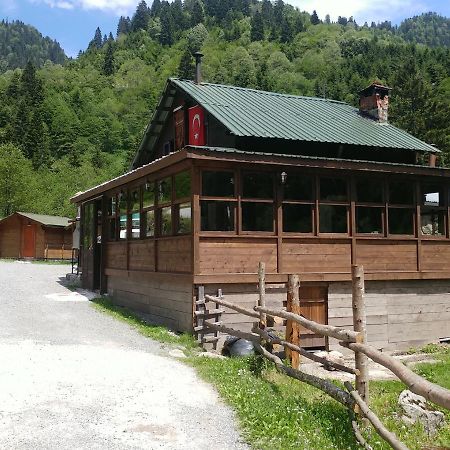 Kardelen Bungalov Evleri̇ Ayder Yaylasi Εξωτερικό φωτογραφία
