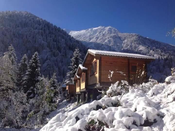 Kardelen Bungalov Evleri̇ Ayder Yaylasi Εξωτερικό φωτογραφία