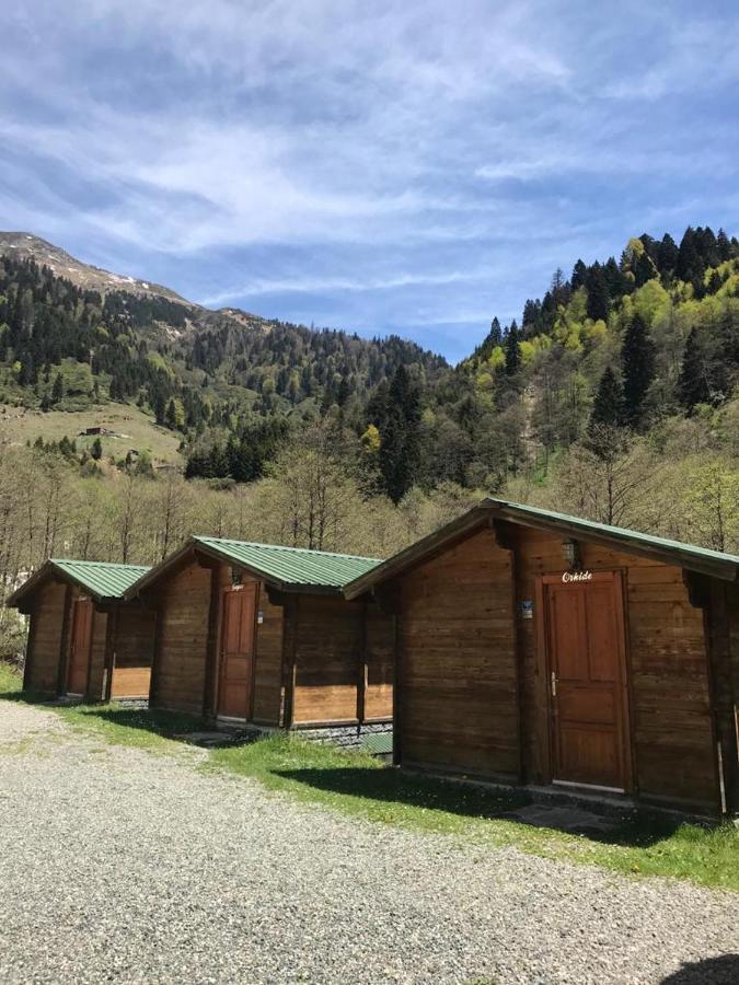 Kardelen Bungalov Evleri̇ Ayder Yaylasi Εξωτερικό φωτογραφία
