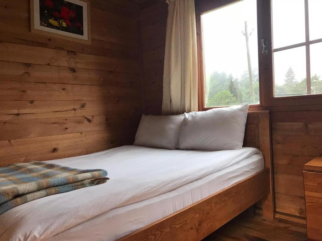 Kardelen Bungalov Evleri̇ Ayder Yaylasi Εξωτερικό φωτογραφία