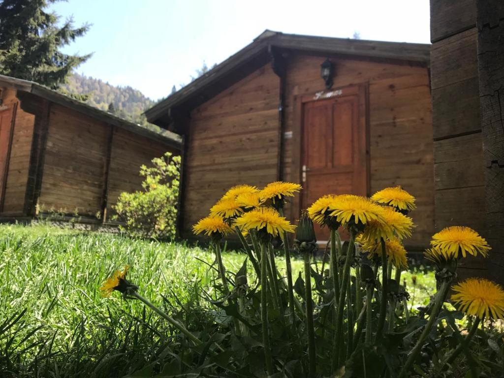 Kardelen Bungalov Evleri̇ Ayder Yaylasi Εξωτερικό φωτογραφία