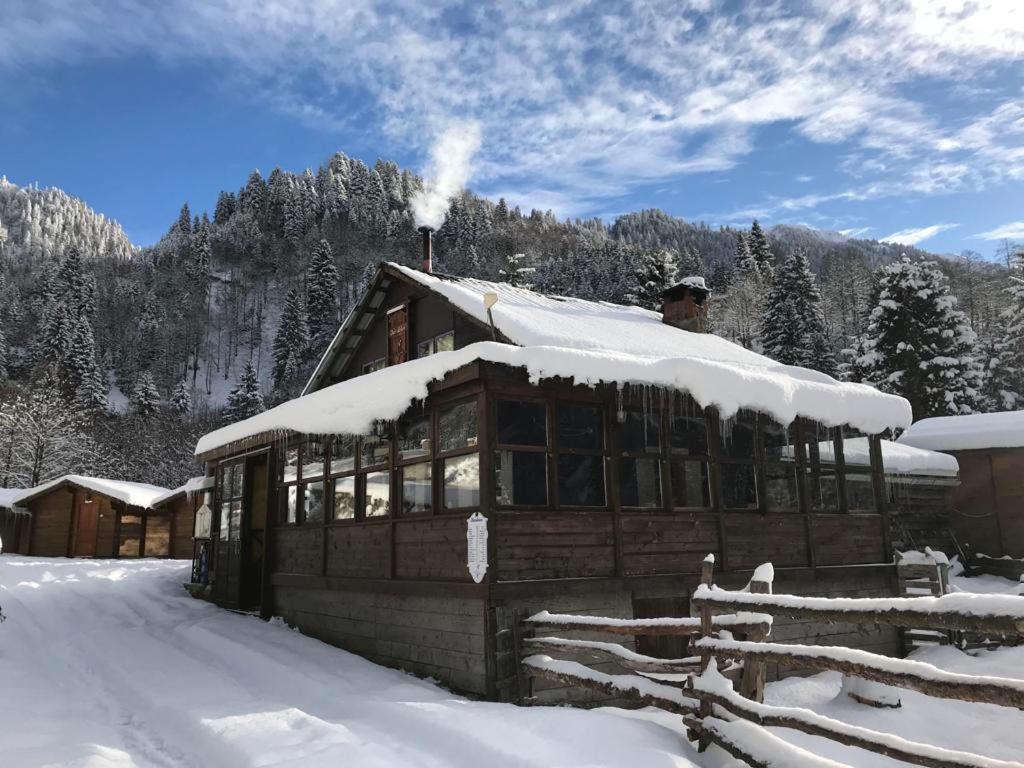 Kardelen Bungalov Evleri̇ Ayder Yaylasi Εξωτερικό φωτογραφία