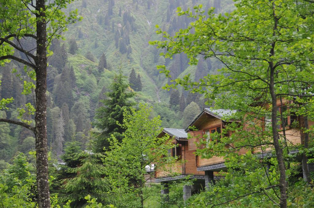 Kardelen Bungalov Evleri̇ Ayder Yaylasi Δωμάτιο φωτογραφία